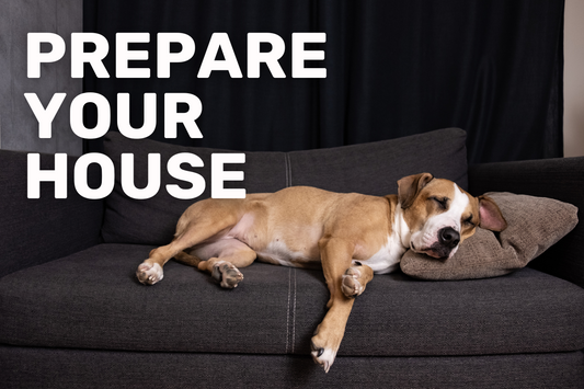 Tips for preparing your home for a pet