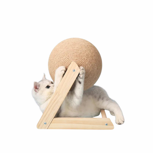 Cat Playing Cat Furniture Masterpiece