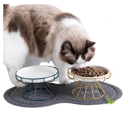 Cat Eating From Elevated Ceramic Pet Bowl
