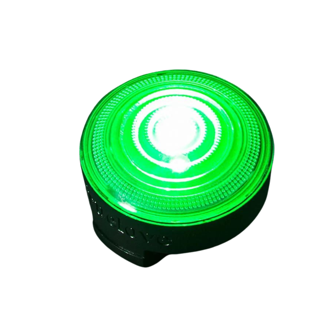 LED Safety Light for Pets Green