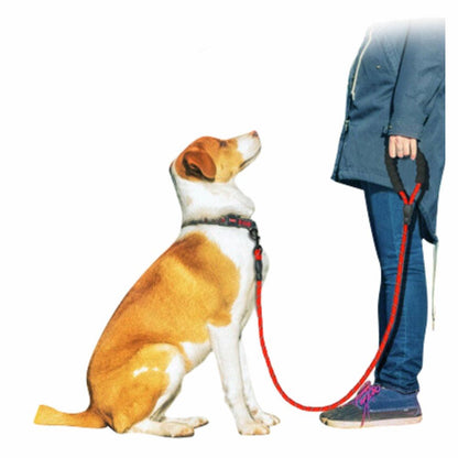 FlexiRope- Strong Nylon Dog Leash