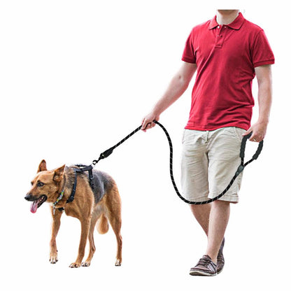 FlexiRope- Strong Nylon Dog Leash