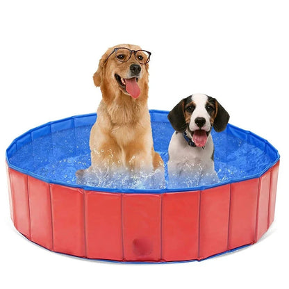 Summer Refresh: Swimming Pool for Your Dog