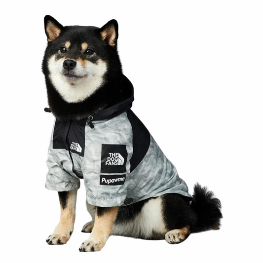 Dog wearing Stylish Dog Raincoat Ultimate Protection