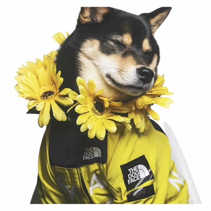 Stylish Dog Raincoat Ultimate Protection