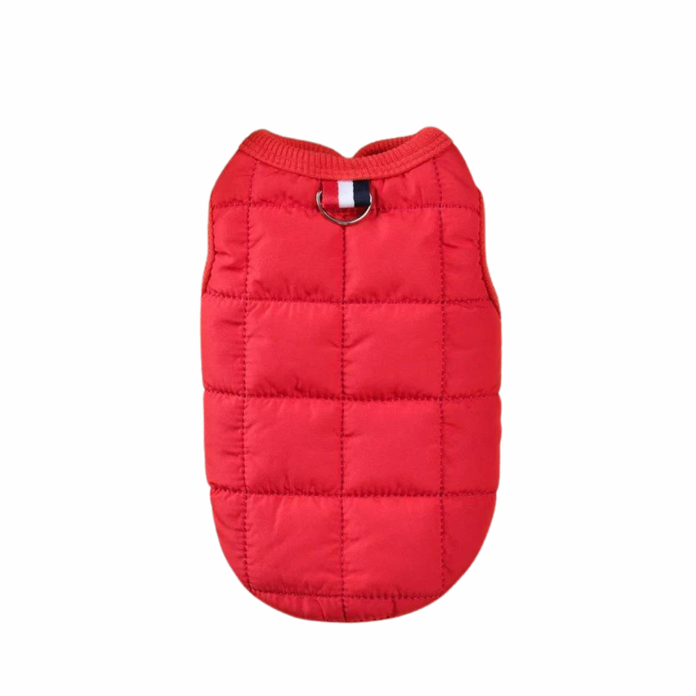 Winter Dog Coat Small Padded Elegance Red