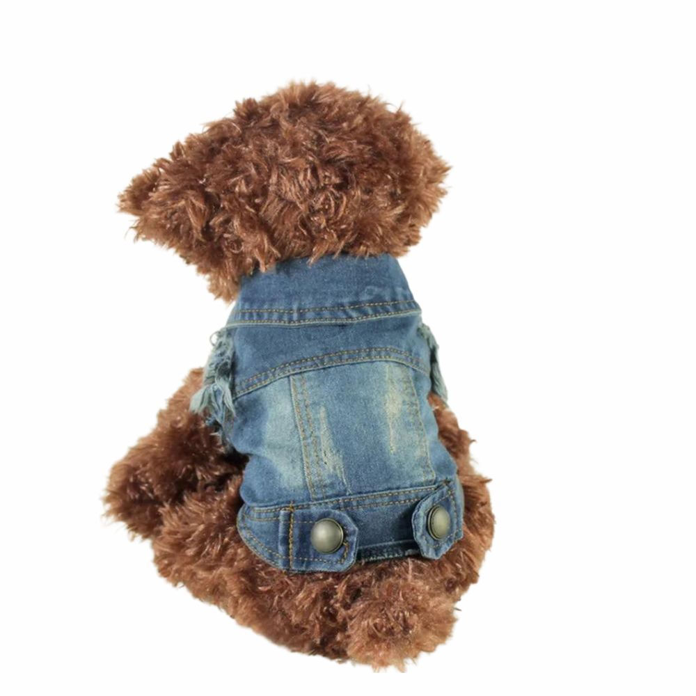 Puppy wearing Chic Spring Denim Vest Stylish Dog Apparel