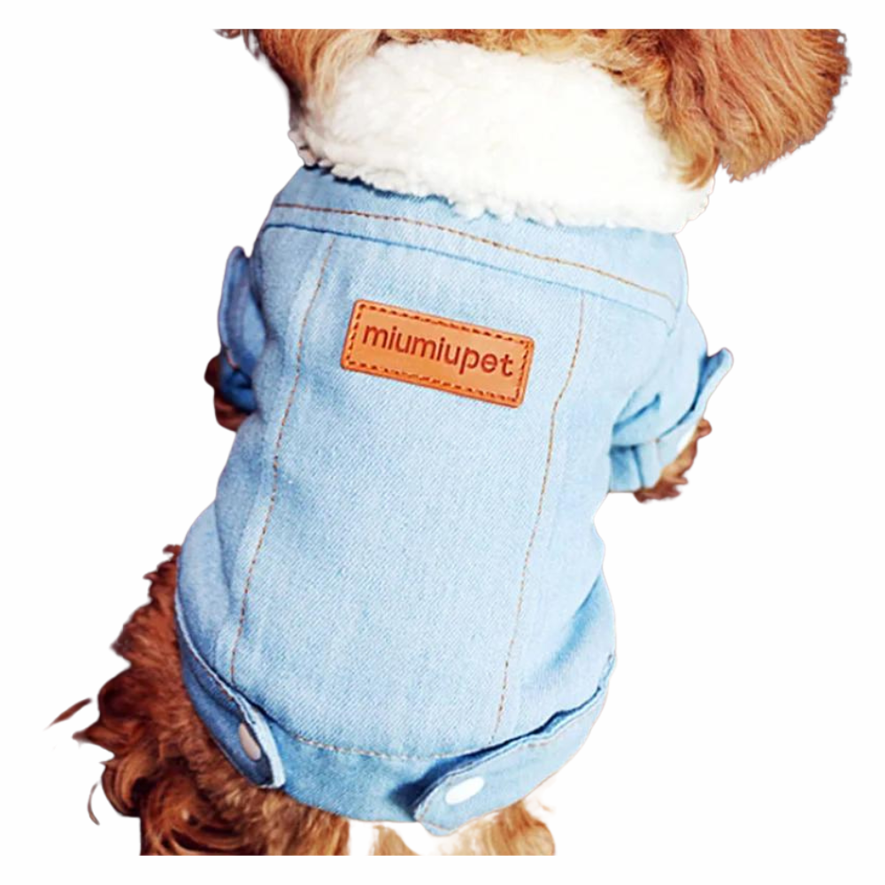 Dog wearing Chic Winter Dog Jacket Stylish Denim Coat Light Blue