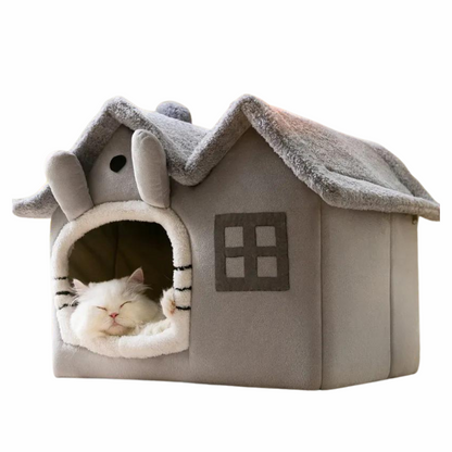 Cat in Cozy Foldable Cat House