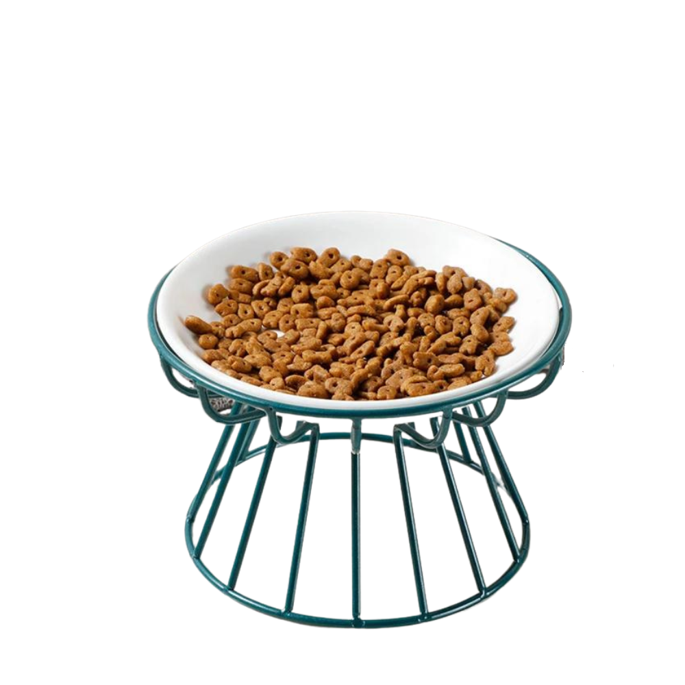 Green Elevated Ceramic Pet Bowl