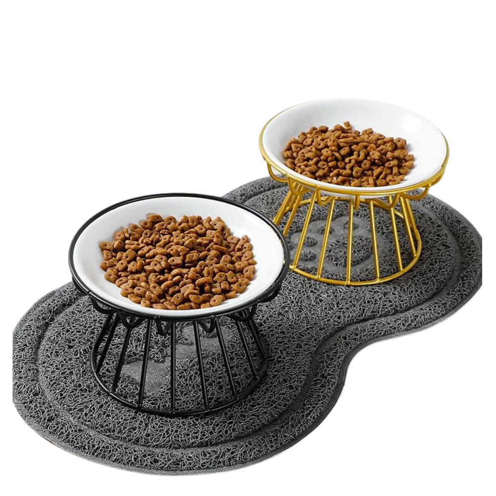 2 Elevated Ceramic Pet Bowl