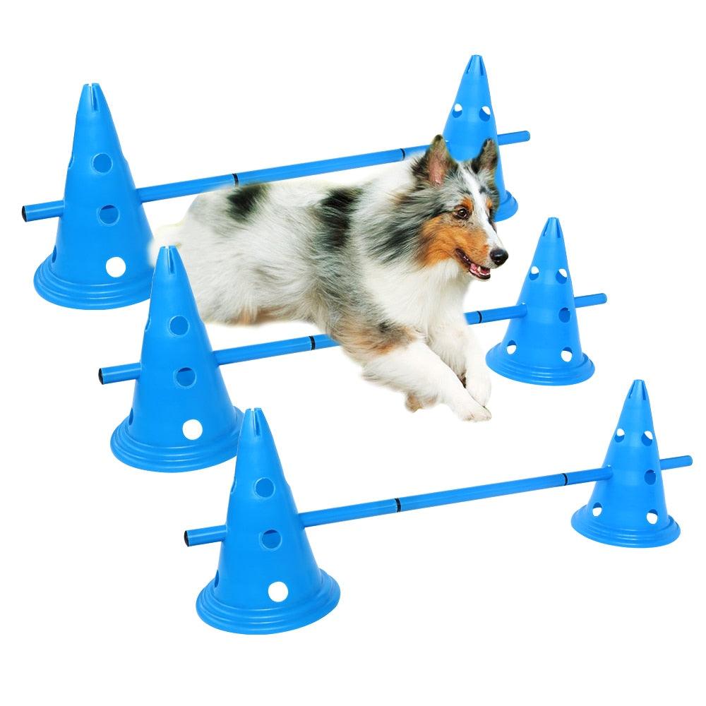 Dog training set, outdoor agility equipment, dog in training.  סט אימון לכלבים¬ ציוד אימון חיצוני¬ כלב באימון