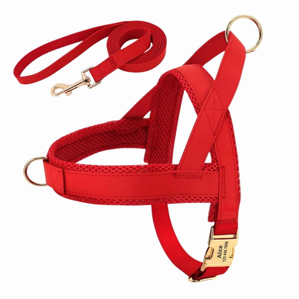 Personalized Leather Pet Set Red