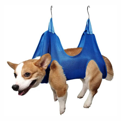 Dog in Pet Grooming Hammock Set