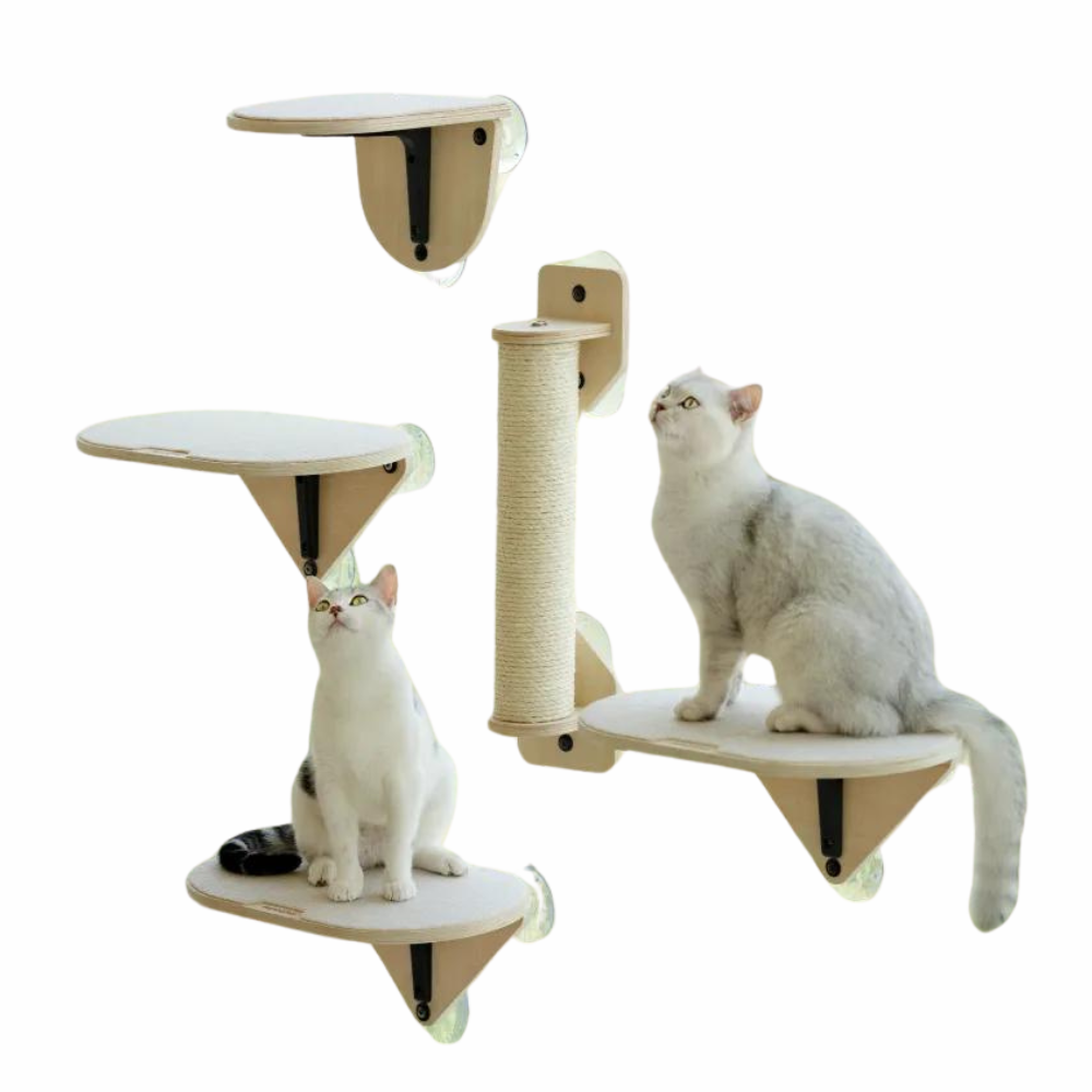 Premium Cat Climbing Set