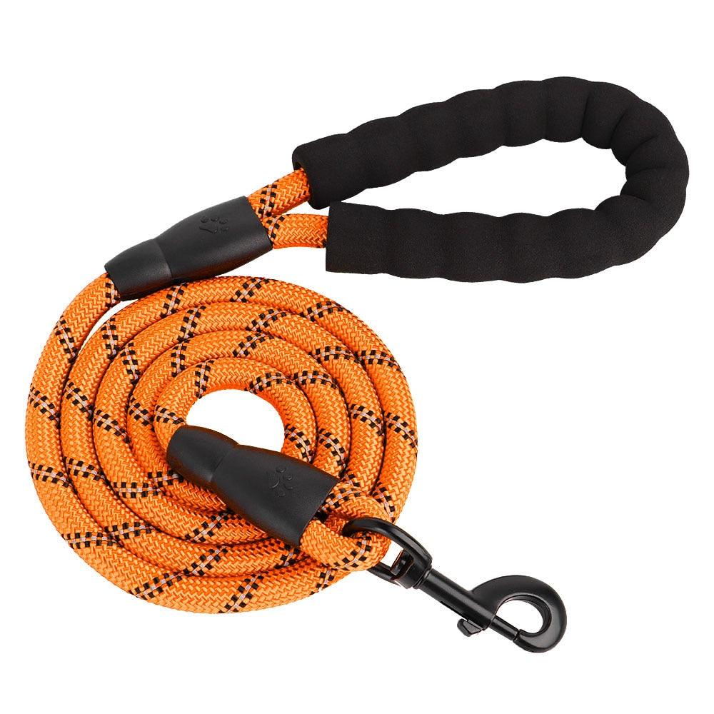 FlexiRope- Strong Nylon Dog Leash