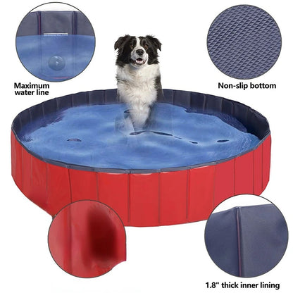 Summer Refresh: Swimming Pool for Your Dog