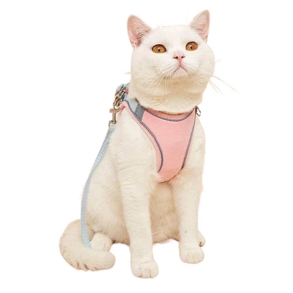 Cat Wearing Stylish Floral Print Pet Harness Set 