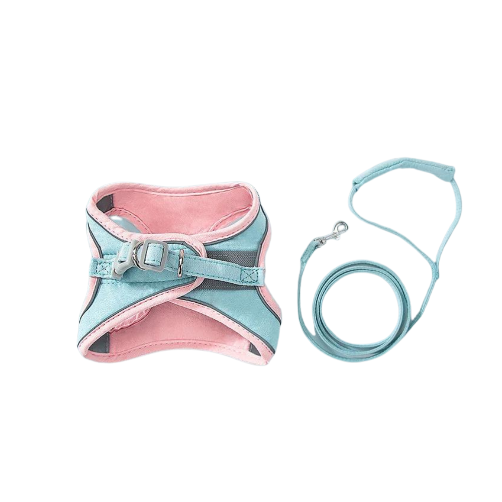 Stylish Floral Print Pet Harness Set Pink