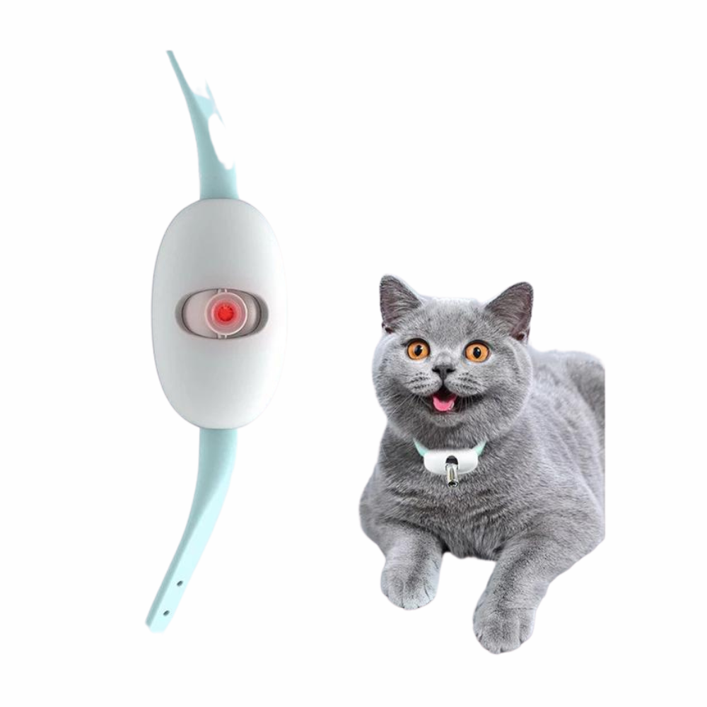 USB Rechargeable Smart Laser Cat Collar Blue