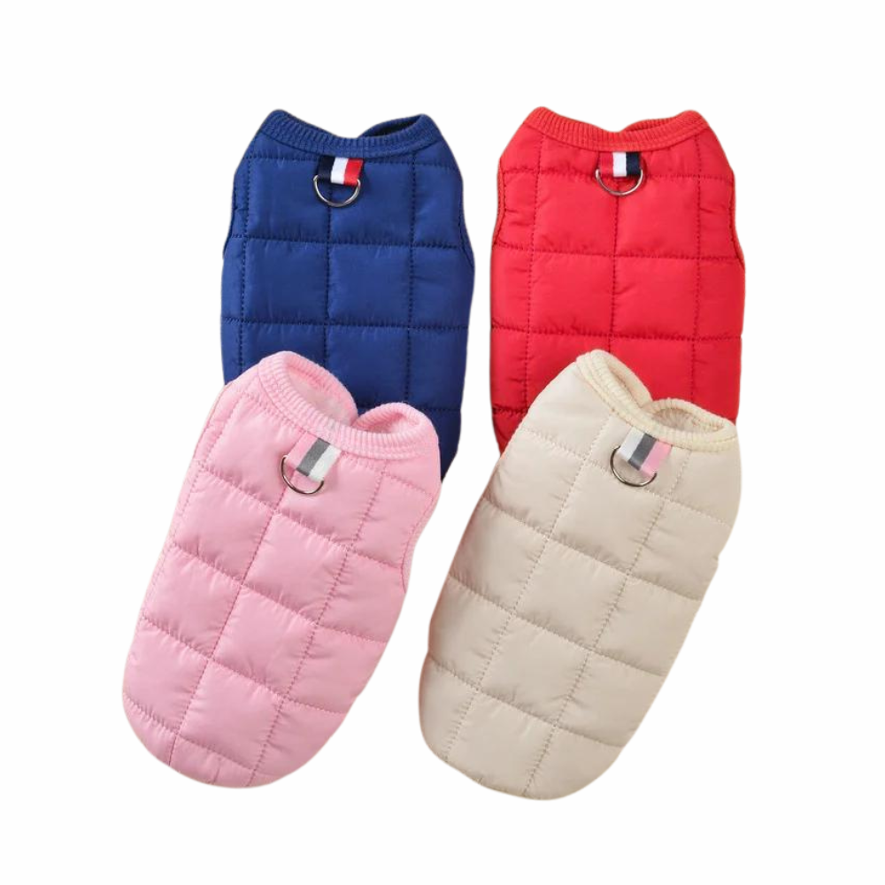 Winter Dog Coat Small Padded Elegance 4 Colors