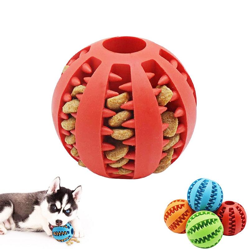 Dog play ball - כדור משחק לכלבים